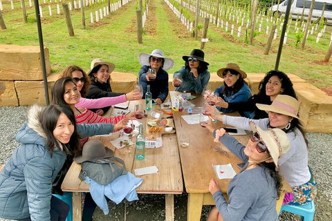 Mt Tamborine Wine Tour - Australia Accommodation 14