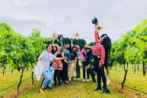 Mt Tamborine Wine Tour - Australia Accommodation 18