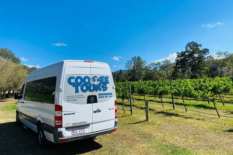 Mt Tamborine Wine Tour - Australia Accommodation 12