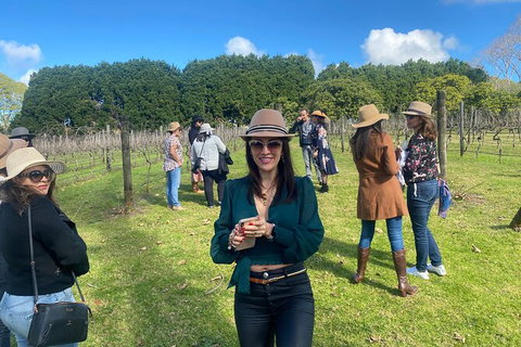 Mt Tamborine Wine Tour - Australia Accommodation 6