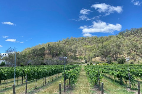 Mt Tamborine Wine Tour - Australia Accommodation 9