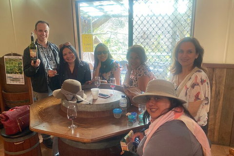 Mt Tamborine Wine Tour - Australia Accommodation 17