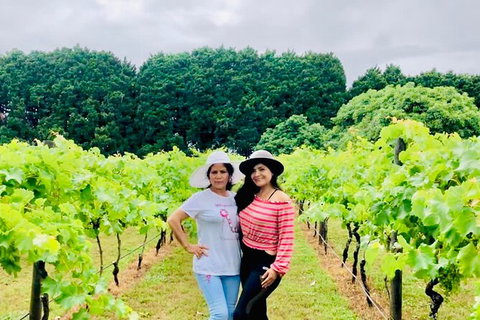 Mt Tamborine Wine Tour - Australia Accommodation 13