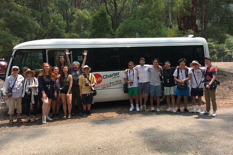 Private 24 Seat Mini Bus Brisbane CBD To Lone Pine Koala Sanctuary Transfer - Australia Accommodation 4