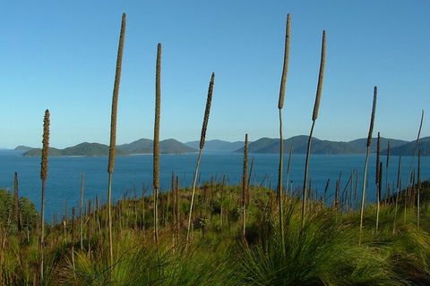 7-Day Private Sea Kayaking In Whitsundays - Australia Accommodation 8
