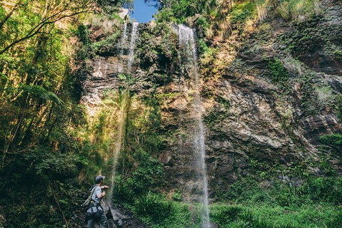 Private Half-Day Springbrook National Park Eco Tour - Up To 6 People - Australia Accommodation 3