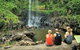 Private Half-Day Springbrook National Park Eco Tour - Up To 6 People - thumb 0