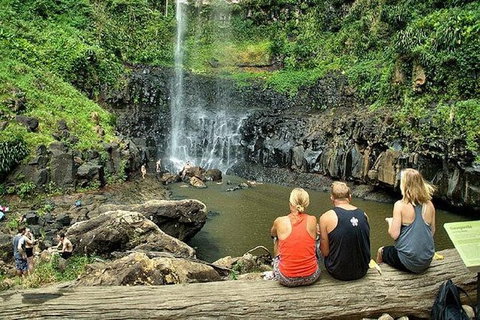 Private Half-Day Springbrook National Park Eco Tour - Up To 6 People - Australia Accommodation 0