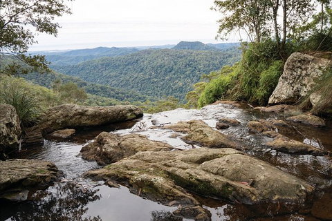 Private Half-Day Springbrook National Park Eco Tour - Up To 6 People - Australia Accommodation 1