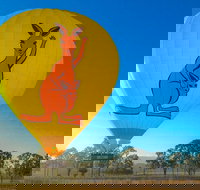 Hot Air Ballooning Tour from Northern Beaches near Cairns - Australia Accommodation