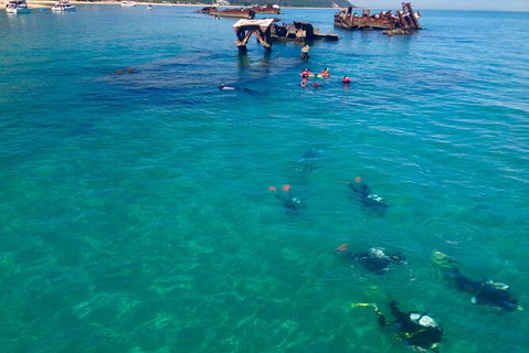 Adventure Moreton Island Scuba Dive Tour - Australia Accommodation 0