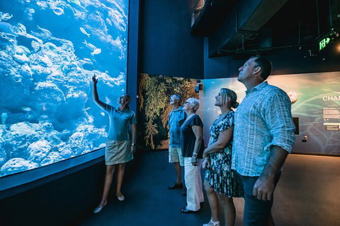 Cairns Aquarium By Twilight With 3 Course Dinner - Australia Accommodation 0