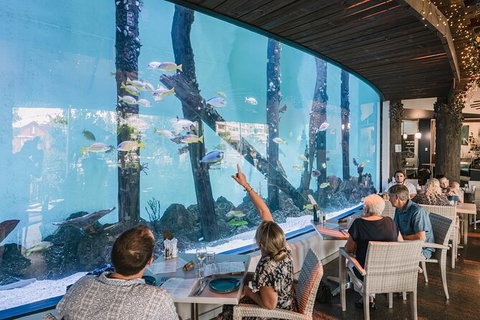 Cairns Aquarium By Twilight With 3 Course Dinner - Australia Accommodation 1