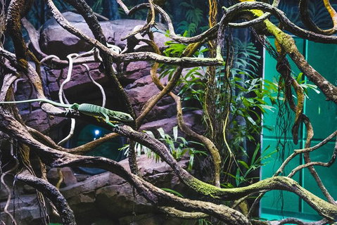 Cairns Aquarium By Twilight With 3 Course Dinner - Australia Accommodation 8