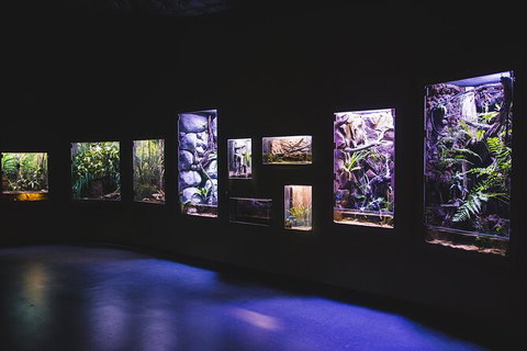 Cairns Aquarium By Twilight With 3 Course Dinner - Australia Accommodation 3