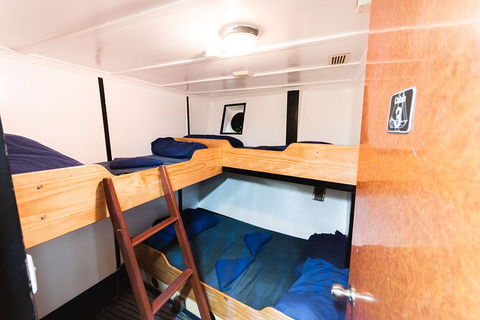 2 Night Whitsunday Islands Cruise On Atlantic Clipper From Airlie Beach - Australia Accommodation 1