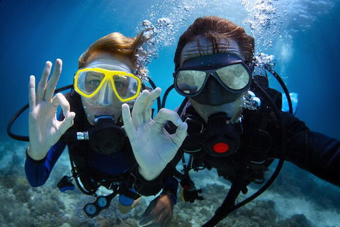 2 Night Whitsunday Islands Cruise On Atlantic Clipper From Airlie Beach - Australia Accommodation 4
