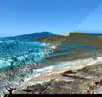 Full-Day Tour of Noosa Sunshine Coast and Eumundi Markets - Australia Accommodation