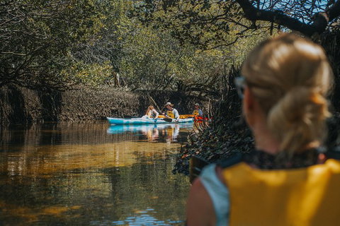 Kayak Tour In Adelaide Dolphin Sanctuary - Australia Accommodation 7