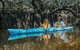 Kayak Tour In Adelaide Dolphin Sanctuary - thumb 0