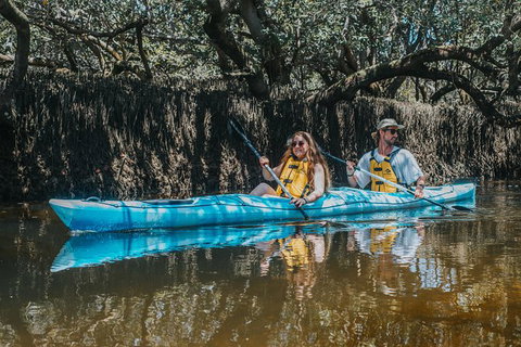 Kayak Tour In Adelaide Dolphin Sanctuary - Australia Accommodation 0