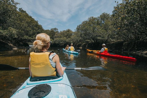 Kayak Tour In Adelaide Dolphin Sanctuary - Australia Accommodation 5