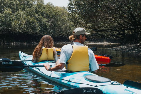 Kayak Tour In Adelaide Dolphin Sanctuary - Australia Accommodation 2