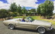 Classic Mustang Convertible Barossa Valley Half Day Private Tour For 2 - thumb 2