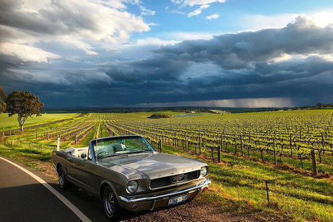 Classic Mustang Convertible Barossa Valley Half Day Private Tour For 2 - Australia Accommodation 7