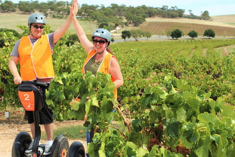 Segway Tour At Seppeltsfield Winery - Australia Accommodation 5