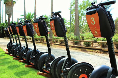 Segway Tour At Seppeltsfield Winery - Australia Accommodation 3