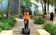 Segway Tour At Seppeltsfield Winery - thumb 1