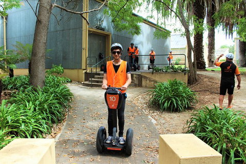 Segway Tour At Seppeltsfield Winery - Australia Accommodation 1