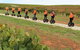 Segway Tour At Seppeltsfield Winery - thumb 7