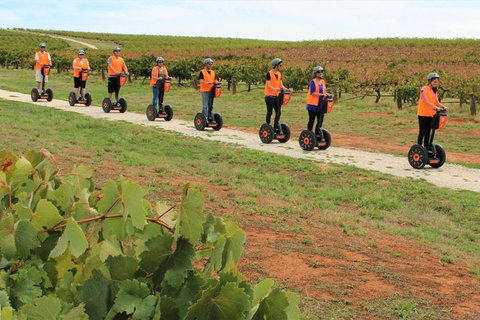 Segway Tour At Seppeltsfield Winery - Australia Accommodation 7
