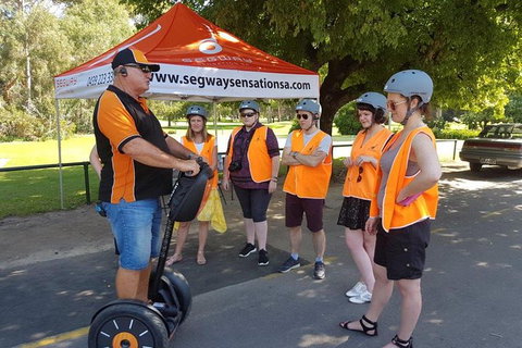 Segway Tour At Seppeltsfield Winery - Australia Accommodation 9