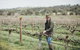 Armagh Vineyard Exclusive Wine Experience And Lunch - thumb 0