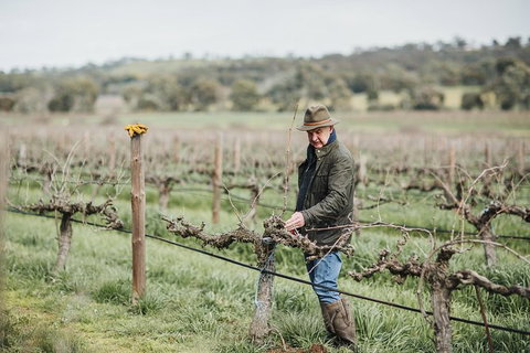 Armagh Vineyard Exclusive Wine Experience And Lunch - Australia Accommodation 0