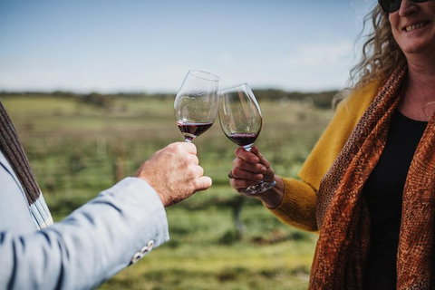 Armagh Vineyard Exclusive Wine Experience And Lunch - Australia Accommodation 1