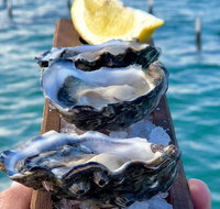 Coffin Bay Oysters Ocean  Nature Tour - Australia Accommodation
