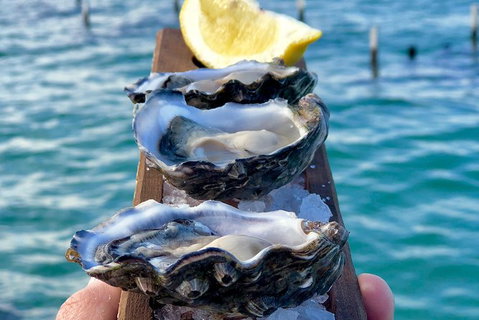 Coffin Bay Oysters, Ocean & Nature Tour - Australia Accommodation 0