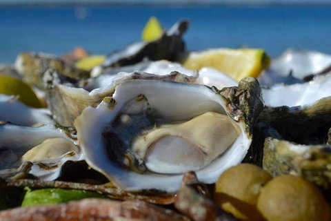 Coffin Bay Oysters, Ocean & Nature Tour - Australia Accommodation 8
