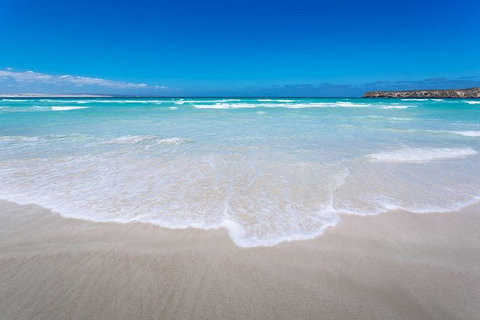 Coffin Bay Oysters, Ocean & Nature Tour - Australia Accommodation 14