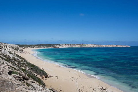 Coffin Bay Oysters, Ocean & Nature Tour - Australia Accommodation 16