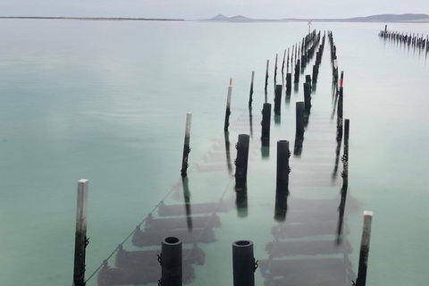 Coffin Bay Oysters, Ocean & Nature Tour - Australia Accommodation 15
