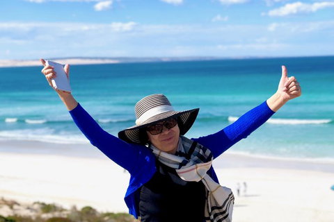 Coffin Bay Oysters, Ocean & Nature Tour - Australia Accommodation 11