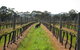 Structured Wine Tasting And Platter - thumb 1