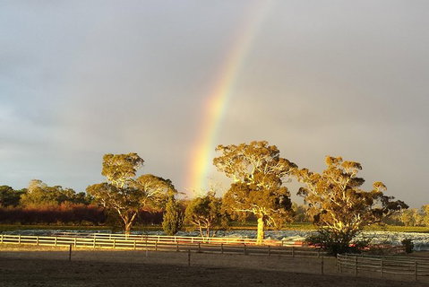 Structured Wine Tasting And Platter - Australia Accommodation 3