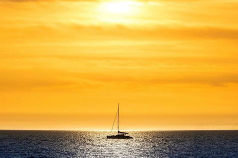Adelaide Twilight Coast Sightseeing Cruise From Glenelg - Australia Accommodation 0