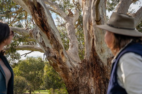 NEW TOUR - Kangaroo Island Road To Recovery Tour (1 Day/1 Night) - Australia Accommodation 2